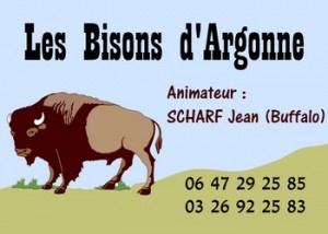Les Bisons d'Argonne